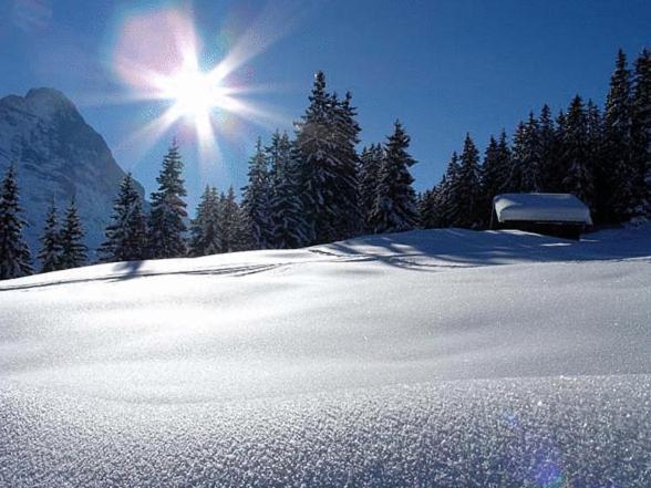 Hotel Steinbock Grindelwald Dış mekan fotoğraf